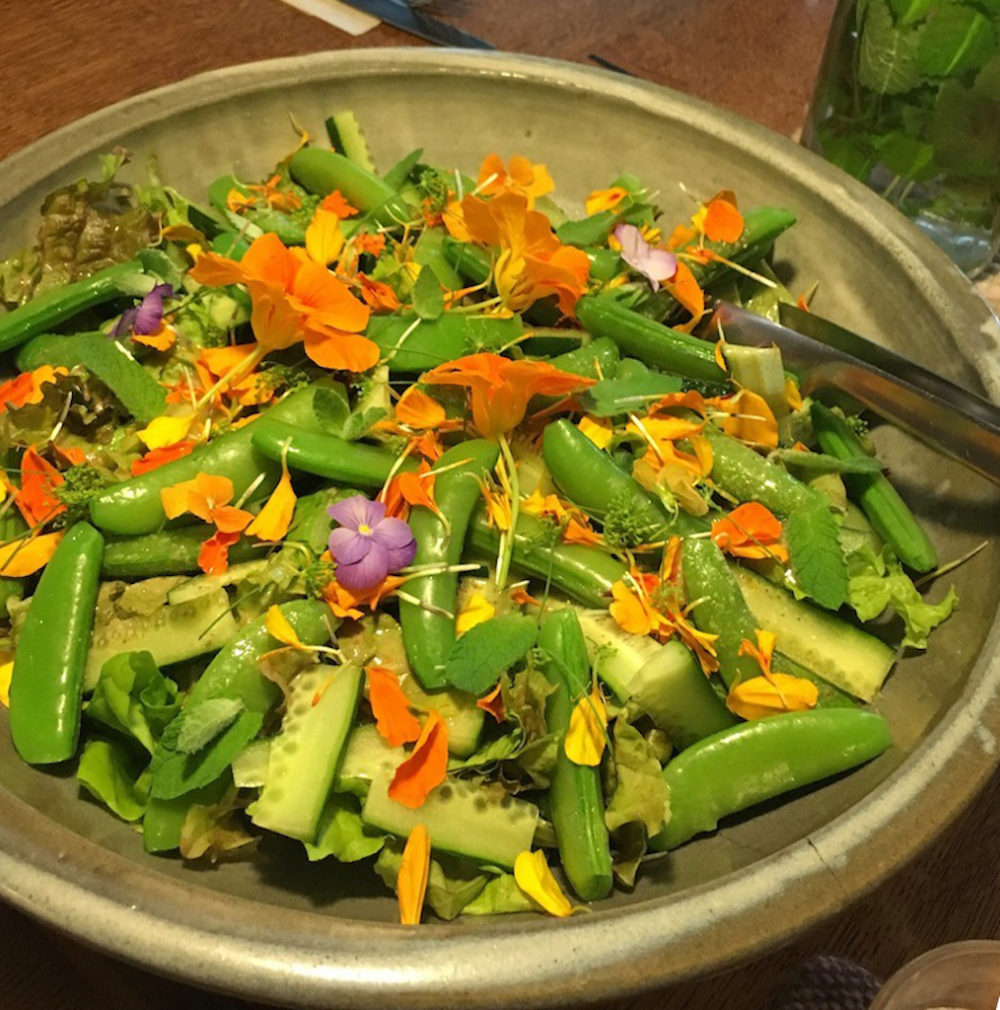 73097882_432743017382326_379009264481468416_n